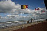 Alltech-WEG-10-10-13-5618-DDeRosaPhoto