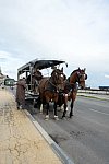 Alltech-WEG-10-11-13-5925-DDeRosaPhoto