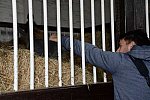 Alltech-WEG-10-11-13-6016-DDeRosaPhoto