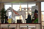 Alltech-WEG-10-12-13-6178-DDeRosaPhoto