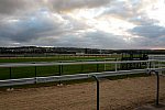 Alltech-WEG-10-10-13-5395-DDeRosaPhoto