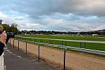 Alltech-WEG-10-10-13-5398-DDeRosaPhoto