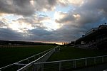 Alltech-WEG-10-10-13-5406-DDeRosaPhoto