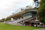Alltech-WEG-10-10-13-5409-DDeRosaPhoto