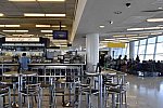 WEG-8-21-14-0002097-DDeRosaPhoto