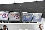WEG-8-21-14-0002108-DDeRosaPhoto
