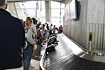 WEG-8-21-14-0002126-DDeRosaPhoto