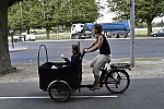 WEG-8-21-14-0002194-DDeRosaPhoto