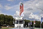 WEG-8-21-14-0002197-DDeRosaPhoto