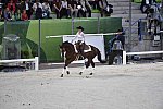 WEG-8-23-14-OpenCeremony-0002344-DDeRosaPhoto