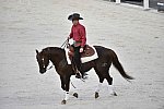 WEG-8-23-14-OpenCeremony-0002346-DDeRosaPhoto