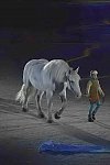 WEG-8-23-14-OpenCeremony-0002921-DDeRosaPhoto