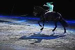 WEG-8-23-14-OpenCeremony-0003113-DDeRosaPhoto