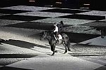 WEG-8-23-14-OpenCeremony-0003183-DDeRosaPhoto