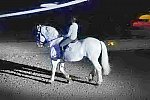 WEG-8-23-14-OpenCeremony-0003202-DDeRosaPhoto