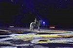 WEG-8-23-14-OpenCeremony-0003203-DDeRosaPhoto