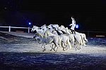 WEG-8-23-14-OpenCeremony-0003245-DDeRosaPhoto