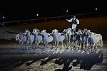 WEG-8-23-14-OpenCeremony-0003249-DDeRosaPhoto