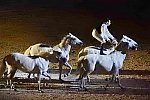 WEG-8-23-14-OpenCeremony-0003273-DDeRosaPhoto