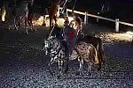 WEG-8-23-14-OpenCeremony-0003295-DDeRosaPhoto
