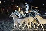 WEG-8-23-14-OpenCeremony-0003302-DDeRosaPhoto