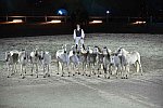 WEG-8-23-14-OpenCeremony-0003310-DDeRosaPhoto