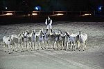 WEG-8-23-14-OpenCeremony-0003311-DDeRosaPhoto