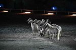 WEG-8-23-14-OpenCeremony-0003328-DDeRosaPhoto