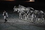 WEG-8-23-14-OpenCeremony-0003330-DDeRosaPhoto