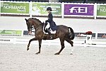 WEG-Dressage-8-25-14-GPTeam-0003673-KarinKosak-Lucy'sDay-AUT-DDeRosaPhoto