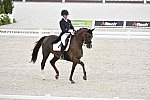 WEG-Dressage-8-25-14-GPTeam-0003688-KarinKosak-Lucy'sDay-AUT-DDeRosaPhoto