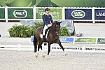 WEG-Dressage-8-25-14-GPTeam-0003726-DierderikvanSilfhout-ArlandoNHNOP-NED-DDeRosaPhoto