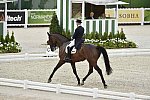 WEG-Dressage-8-25-14-GPTeam-0004036-JeroenDevroe-EresDL-BEL-DDeRosaPhoto