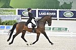 WEG-Dressage-8-25-14-GPTeam-0004694-JoanneVaughan-ElmegardensMarquis-GEO-DDeRosaPhoto