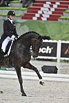 WEG-Dressage-8-25-14-GPTeam-0006048-AdrienneLyle-Wizard-USA-DDeRosaPhoto