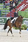 WEG1-Dressage-8-26-14-GPTeam-0007739-LauraGraves-Verdades-USA-DDeRosaPhoto