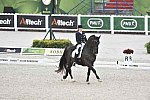 WEG-Dressage-8-25-14-GPTeam-0003944-TinaKonyot-CalectoV-USA-DDeRosaPhoto