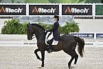 WEG-Dressage-8-25-14-GPTeam-0003987-TinaKonyot-CalectoV-USA-DDeRosaPhoto
