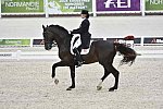 WEG-Dressage-8-25-14-GPTeam-0003990-TinaKonyot-CalectoV-USA-DDeRosaPhoto
