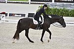 WEG-Dressage-8-25-14-GPTeam-0004012-TinaKonyot-CalectoV-USA-DDeRosaPhoto