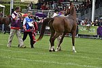 WEG1-EnduranceJog-8-27-14-0000549-DDeRosaPhoto