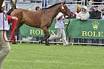 WEG1-EnduranceJog-8-27-14-0000553-DDeRosaPhoto