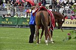 WEG1-EnduranceJog-8-27-14-0000560-DDeRosaPhoto