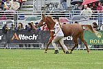 WEG1-EnduranceJog-8-27-14-0000562-DDeRosaPhoto
