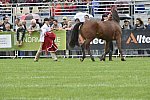 WEG1-EnduranceJog-8-27-14-0000564-DDeRosaPhoto