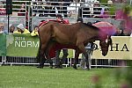 WEG1-EnduranceJog-8-27-14-0000574-DDeRosaPhoto