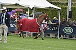 WEG1-EnduranceJog-8-27-14-0000575-DDeRosaPhoto