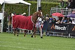 WEG1-EnduranceJog-8-27-14-0000576-DDeRosaPhoto