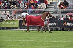 WEG1-EnduranceJog-8-27-14-0000579-DDeRosaPhoto