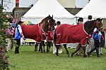 WEG1-EnduranceJog-8-27-14-0000582-DDeRosaPhoto